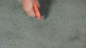white vinegar to clean carpet stains