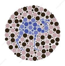 colour blindness test chart