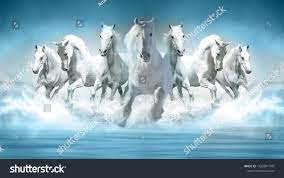 3d Wallpaper Seven Horses Running Stock ...