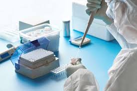 Polymerase chain reaction (pcr) is a method widely used to rapidly make millions to billions of copies of a specific dna sample, allowing scientists to take a very small sample of dna and amplify it to a large enough amount to study in detail. Pcr Test Dauer Bis Zum Ergebnis
