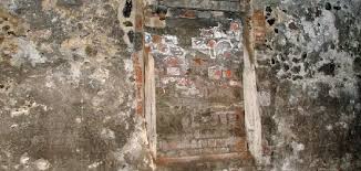 How To Remove Mold From Basement Walls