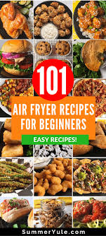 101 air fryer recipes for beginners