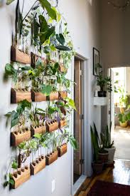 A plant wall is an easy way to add charm to any room and get the clean air benefits as well! The Plant Doctor S Baltimore Home And Studio Are Absolutely Filled With Gorgeous Green Plants Easy House Plants Hanging Plant Wall House Plants Decor