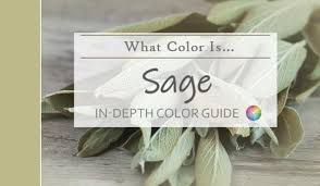 What Color Is Sage So Much More Than