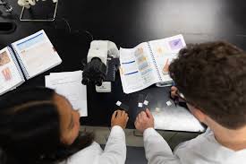 concentration in molecular biology and