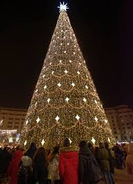 Photo Of Huge Christmas Tree Free Stock Photo