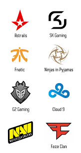 CS:GO Esports teams have some of the best logos in my opinion. I picked my  8 favourite ones to show you. I just find them very easy to recognise,  simple and just
