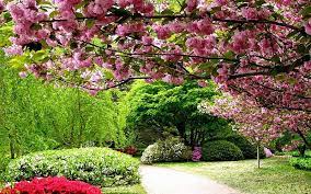 lush spring gardens red brown bonito
