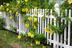 26 Cheery White Picket Fence Ideas And