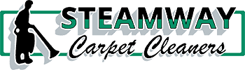 steamway carpet cleaners carpet and