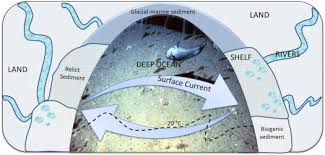 deep sea sediment an overview