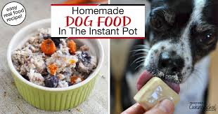 homemade dog food in the instant pot