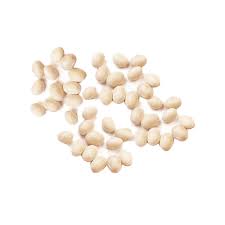 navy beans nutrition guide health