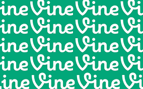 Free hq photos about vine. Why Are Vines So Funny