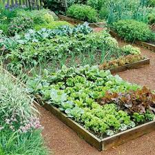 Bhg Error Small Vegetable Gardens