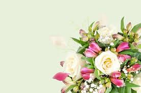 The signature in the card is the only way for the recipient to find out the sender of the flowers. Handy Flowers Free Uk Flower Delivery Send Flowers Online