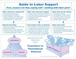 Guide To Labor Support Transition To Parenthood