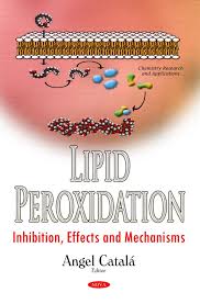 lipid peroxidation inhibition effects