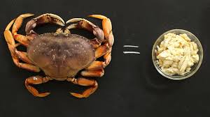 how to break down fresh crab like a pro