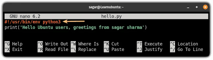run python programs in ubuntu command line