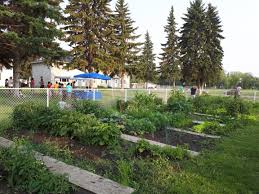 the benefits of community gardens in an