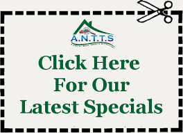 Need pest control in dallas, fort worth or plano? Dallas Fort Worth Pest Control A North Texas Termite Specialist A N T T S