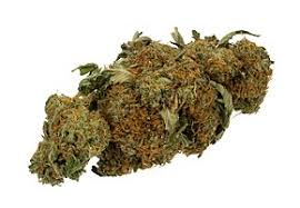 Onere a carico del ssr: Uso Medico Della Cannabis Wikipedia