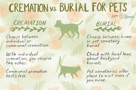 options for pet burial and cremation