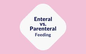 enteral vs paeral feeding