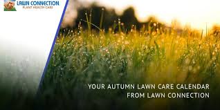 Your Autumn Lawn Care Calendar From Lawn Connection Lawn Connection