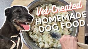 vet created homemade dog food recipes