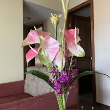 top 10 best flower leis in kailua kona