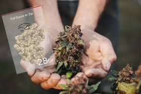 As such, the most isolated cities such as perth, darwin, and hobart, have the highest prices of weed in the country. Weed Measurements Weights Chart Prices And Tips Dutch Passion