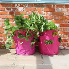 Pack Of 2 Strawberry Herb Patio Planter