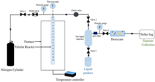 supercritical water gasification