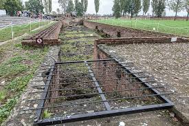 Ihre aufgabe war es, die leichen aus den gaskammern. Polen Woiwodschaft Kleinpolen Konzentrationslager Auschwitz Birkenau Bild 1406117 Erde In Bildern