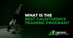 best calisthenics training program