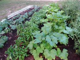 types of vegetable gardening styles