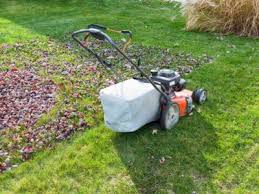 Connect with the best lawn care contractors in your area who are experts at maintaining lawns, cutting grass, and applying lawn treatments. Tips Information About General Lawn Care Gardening Know How