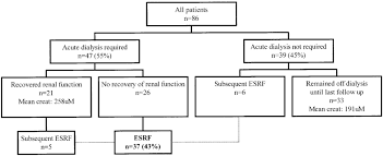 Flow Chart Indicating The Renal Fate Of The Cohort