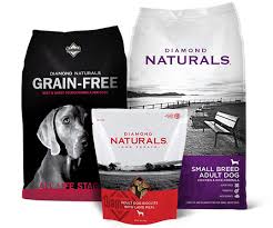 Diamond Naturals Large Breed Puppy Formula Dry Dog Food 6 Lb Bag