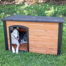 Which Doghouse Is Right For My Dog