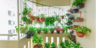 Edible Garden Here S How To Grow Herbs