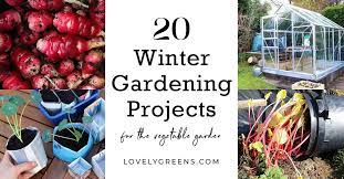 20 Winter Gardening Ideas For The
