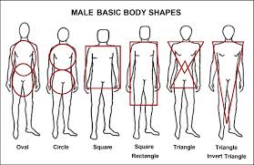 Body Analysis New Paradigm The Science Of Personal Dress