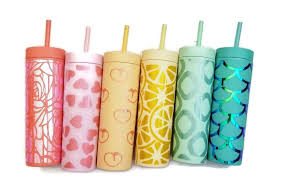 16oz double wall plastic tumblers with