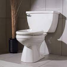 Home depot needs to review their specs. How To Buy The Best Toilet For You Features What To Look For
