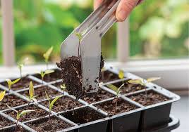 New Veggie Garden Tools For 2023