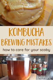 homemade kombucha mistakes to avoid