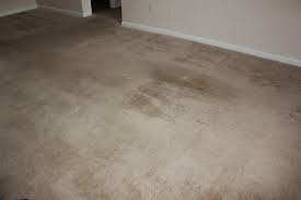 majestic carpets reviews knoxville
